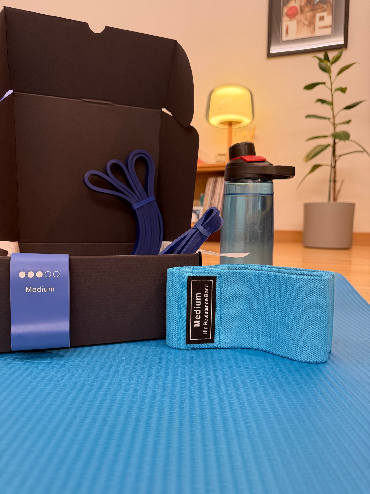 FitnessBox Pasipriešinimo gumų rinkinys